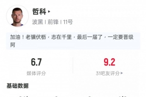 哲科此役表现：射门2次，射正0次，解围2次，拦截1次，获得1张黄牌，得分6.7